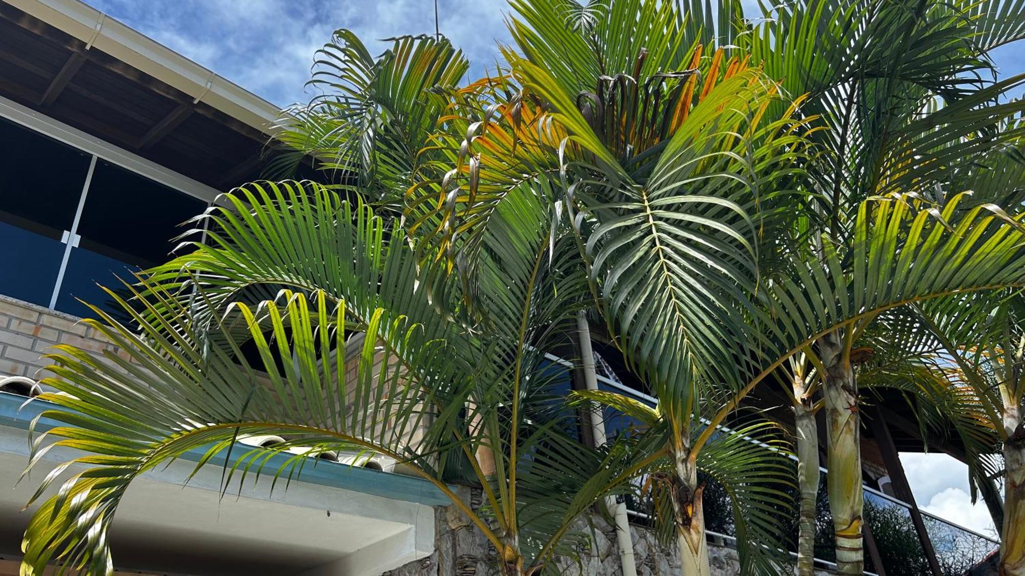 Casa Espacosa Com Sala De Jogos Interna E Externa 度假居 Florianopolis